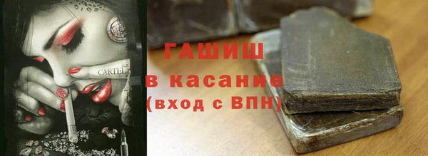 шишки Богородицк
