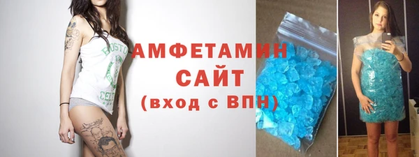 шишки Богородицк