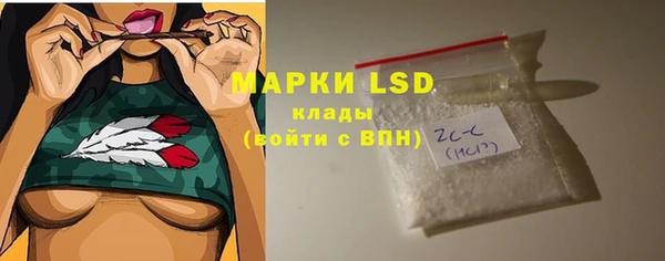 шишки Богородицк