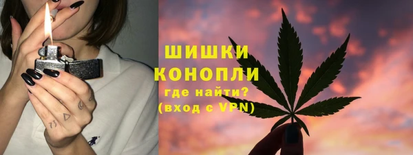 СК Богородск