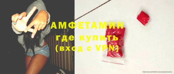 спайс Богданович