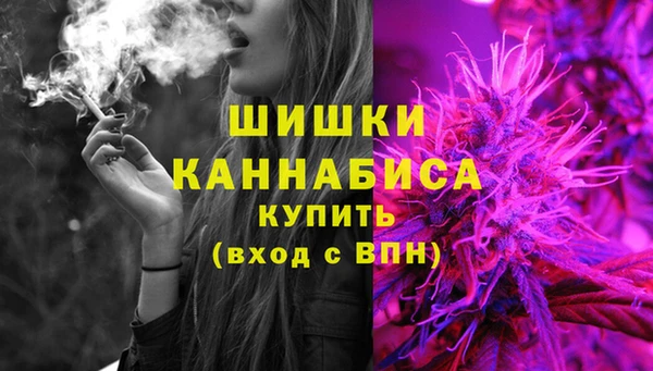 спайс Богданович