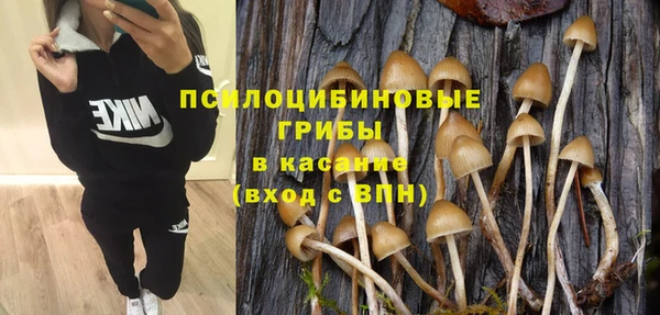 шишки Богородицк