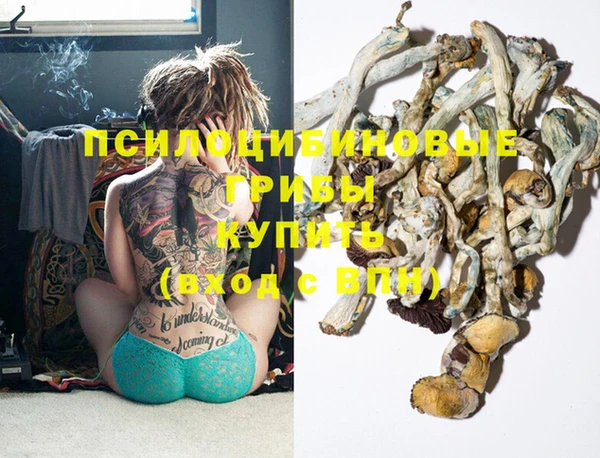 спайс Богданович