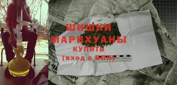 спайс Богданович