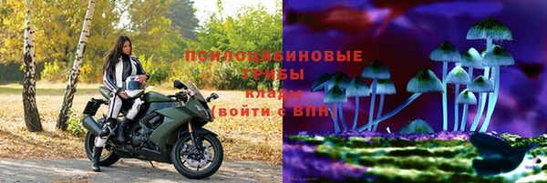 спайс Богданович