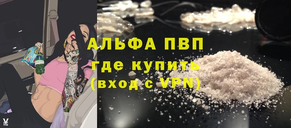 спайс Богданович