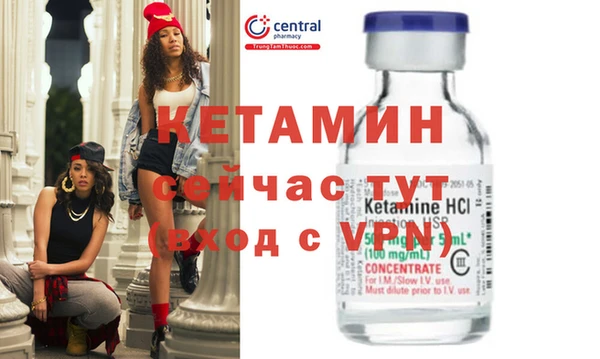 шишки Богородицк