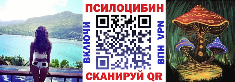 Галлюциногенные грибы Cubensis  Купить  Боготол 